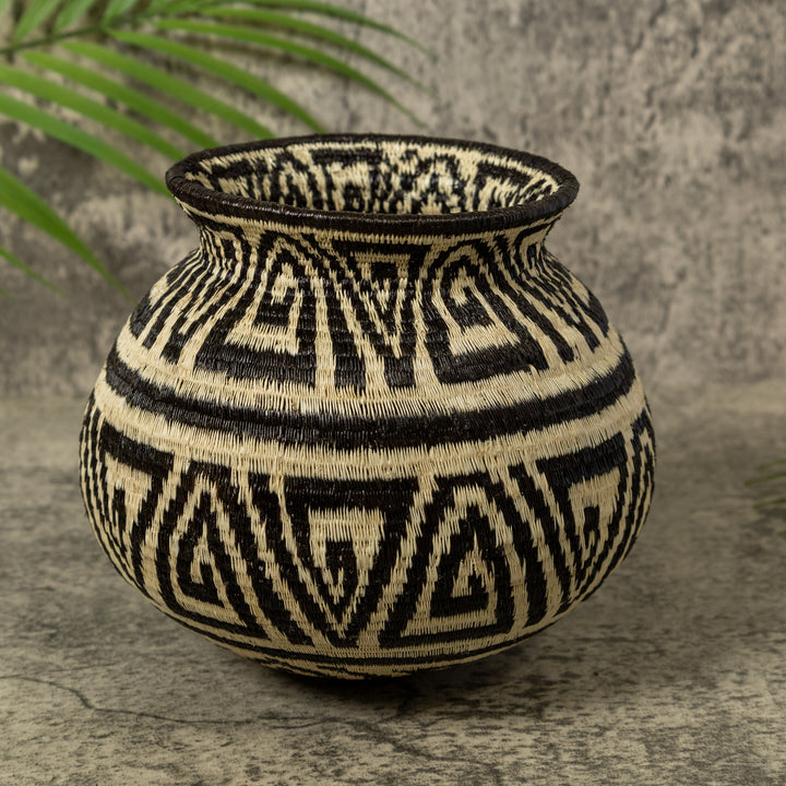 Black And White Greek Key Jungle Rainforest Basket