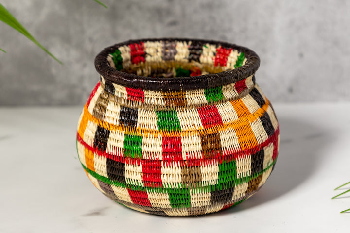 Rainbow Colors Rainforest Basket