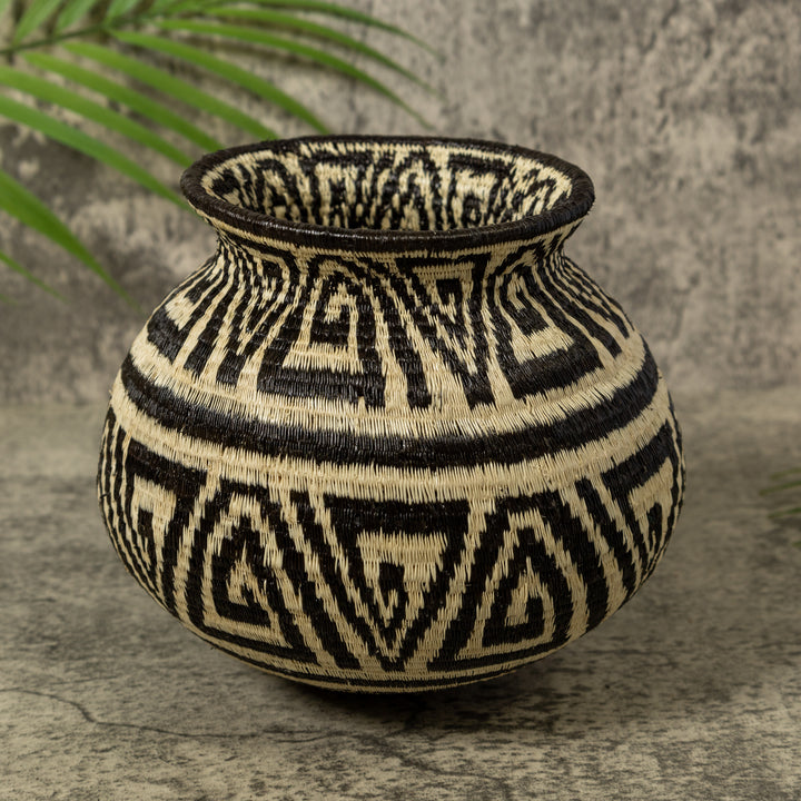 Black And White Greek Key Jungle Rainforest Basket