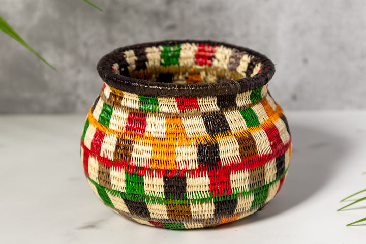 Rainbow Colors Rainforest Basket