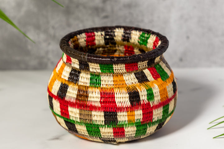 Rainbow Colors Rainforest Basket