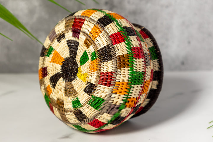 Rainbow Colors Rainforest Basket
