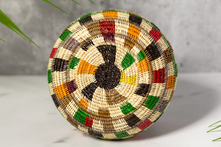 Rainbow Colors Rainforest Basket
