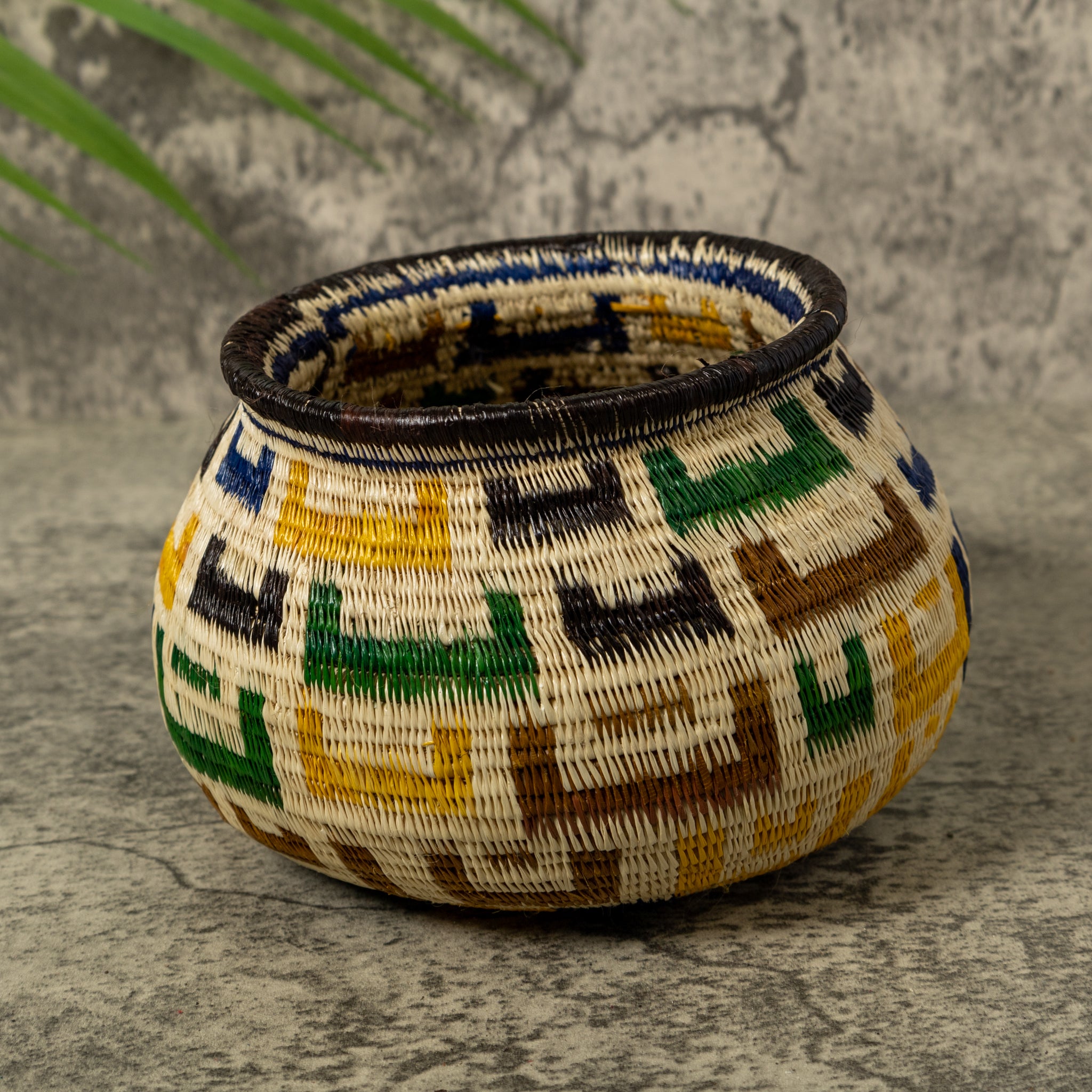 Multi-Color Horseshoe Rainforest Basket
