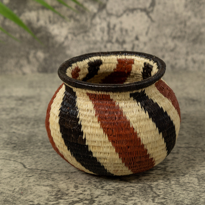 Earth Swirls Rainforest Basket