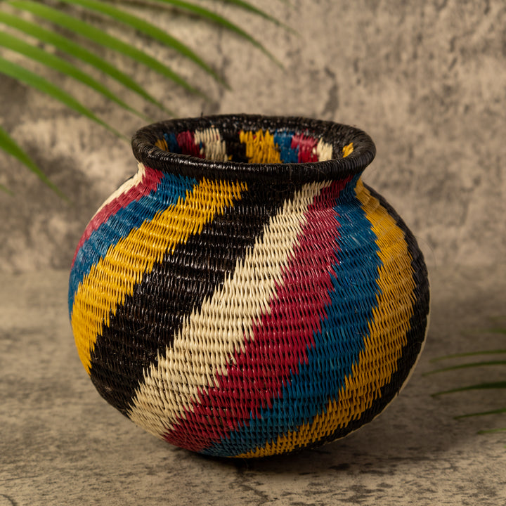 Rainbow Illusion Rainforest Basket