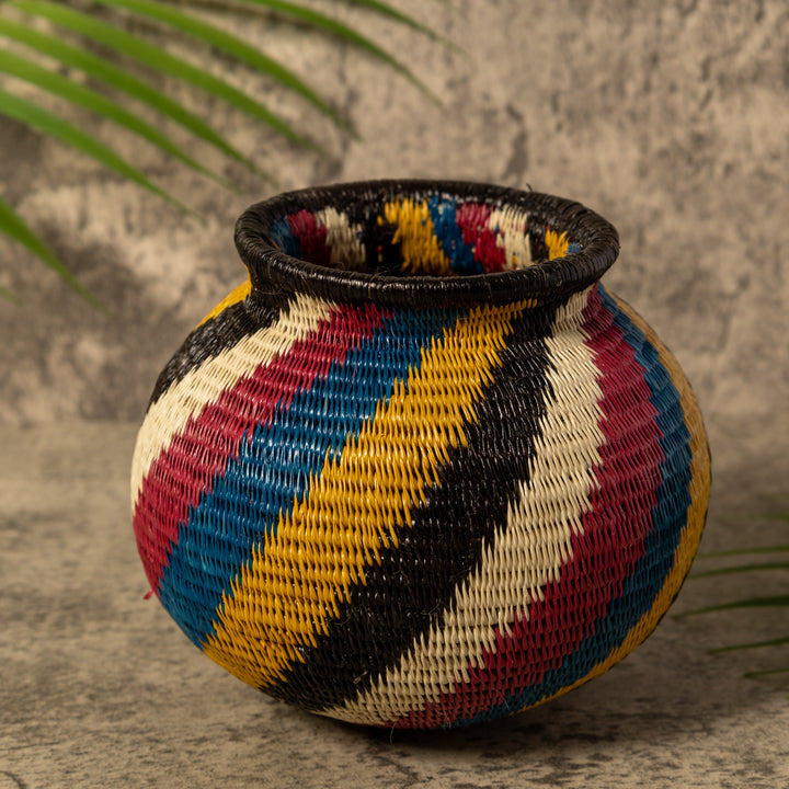 Rainbow Illusion Rainforest Basket