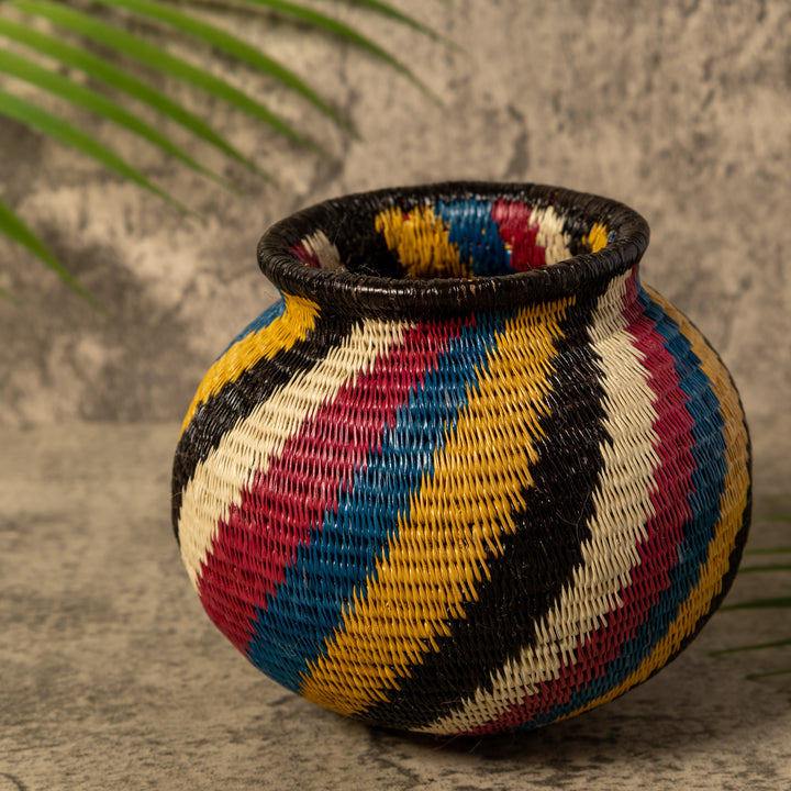 Rainbow Illusion Rainforest Basket