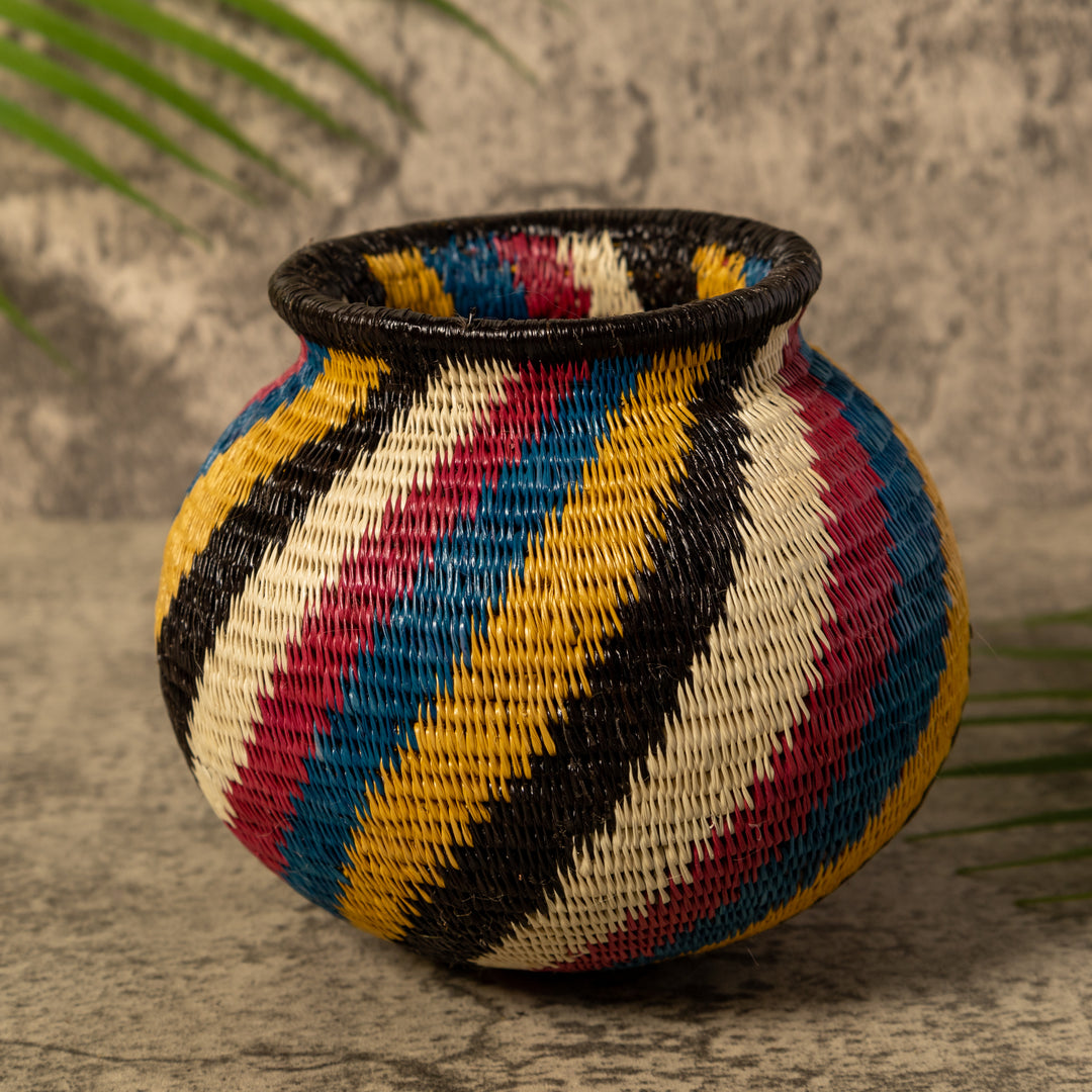 Rainbow Illusion Rainforest Basket