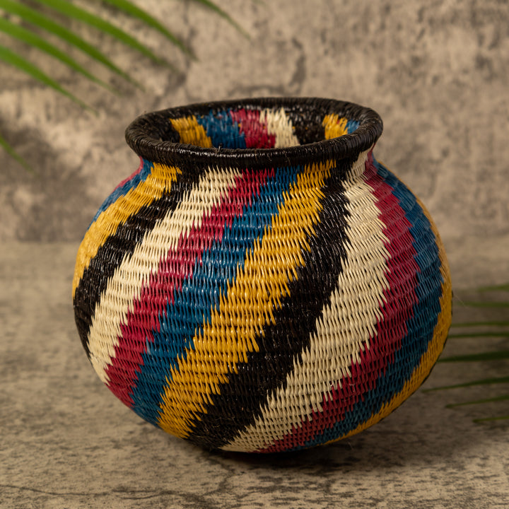 Rainbow Illusion Rainforest Basket