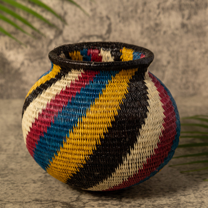 Rainbow Illusion Rainforest Basket