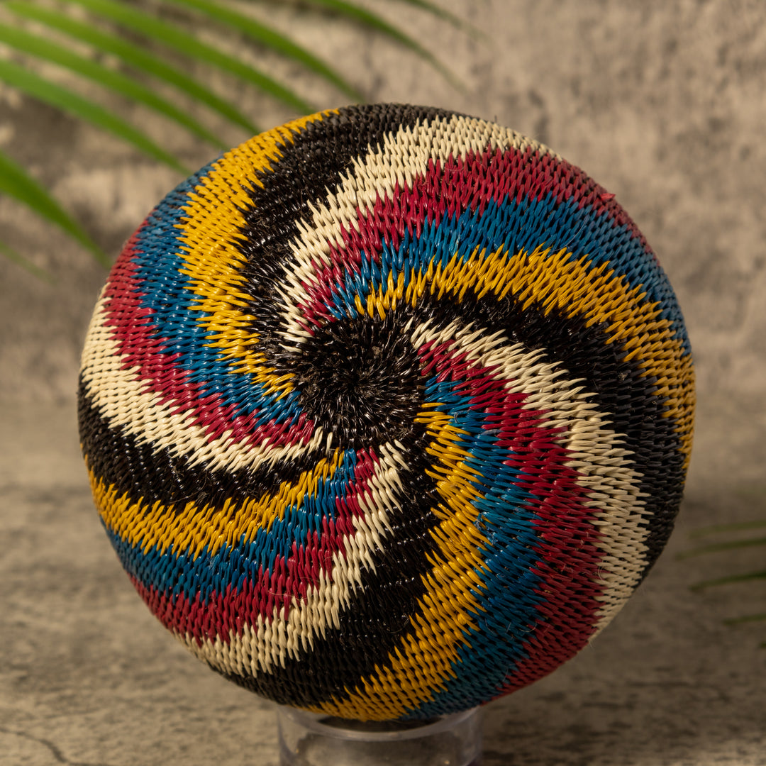 Rainbow Illusion Rainforest Basket