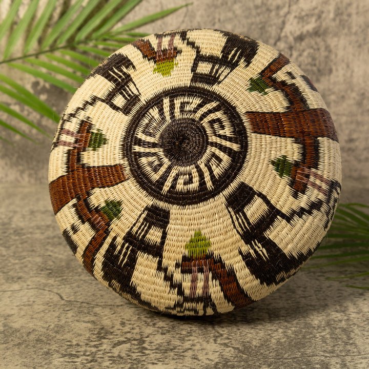 Harpy Eagle Rainforest Basket