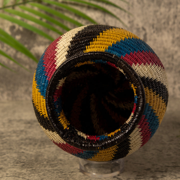 Rainbow Illusion Rainforest Basket