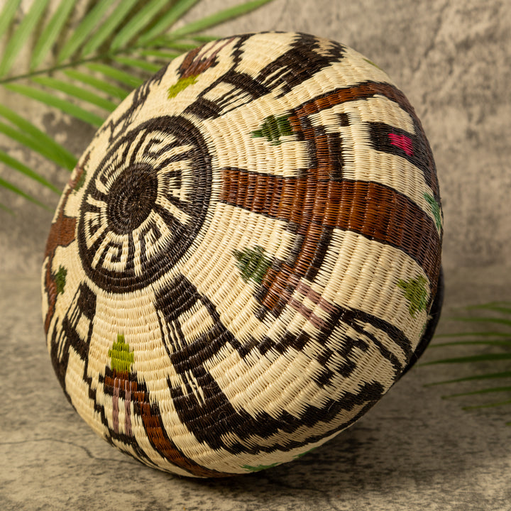 Harpy Eagle Rainforest Basket