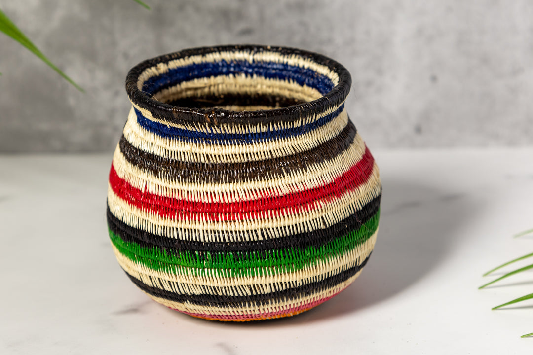 Rainbow Colors Rainforest Basket