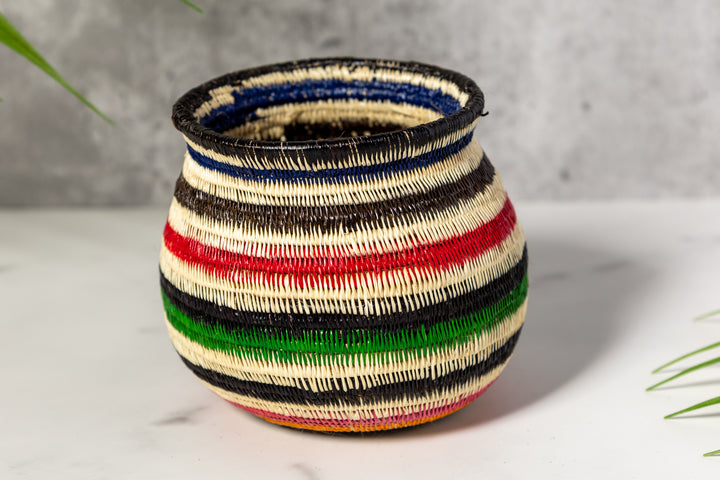 Rainbow Colors Rainforest Basket