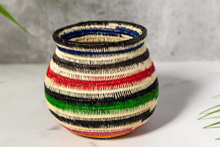 Rainbow Colors Rainforest Basket