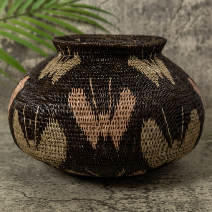 Black Brown And Gray Butterfly Rainforest Basket