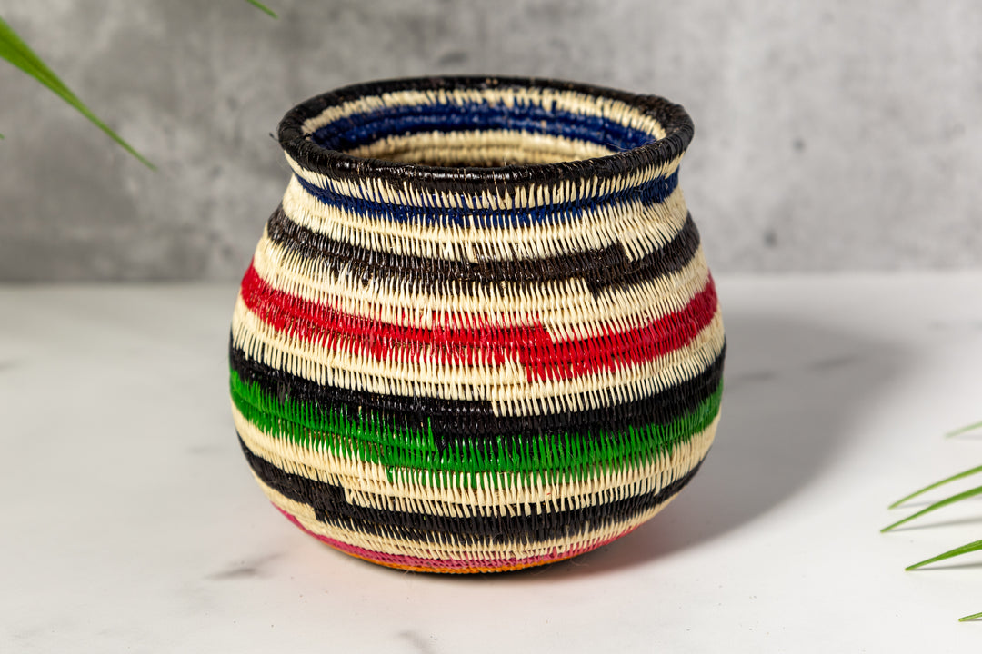Rainbow Colors Rainforest Basket