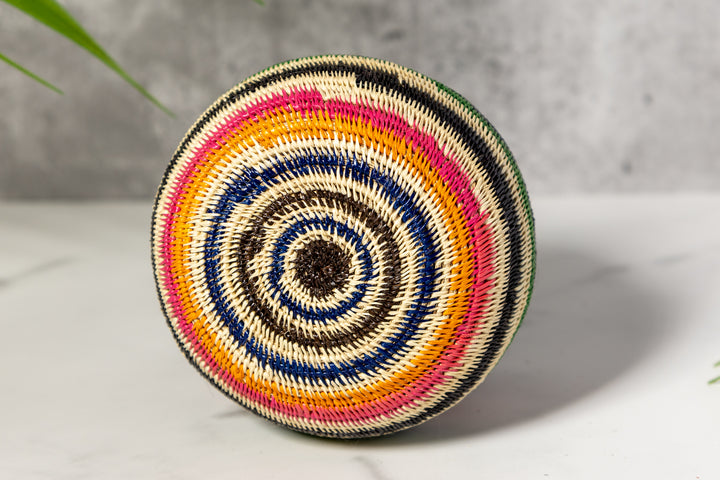 Rainbow Colors Rainforest Basket