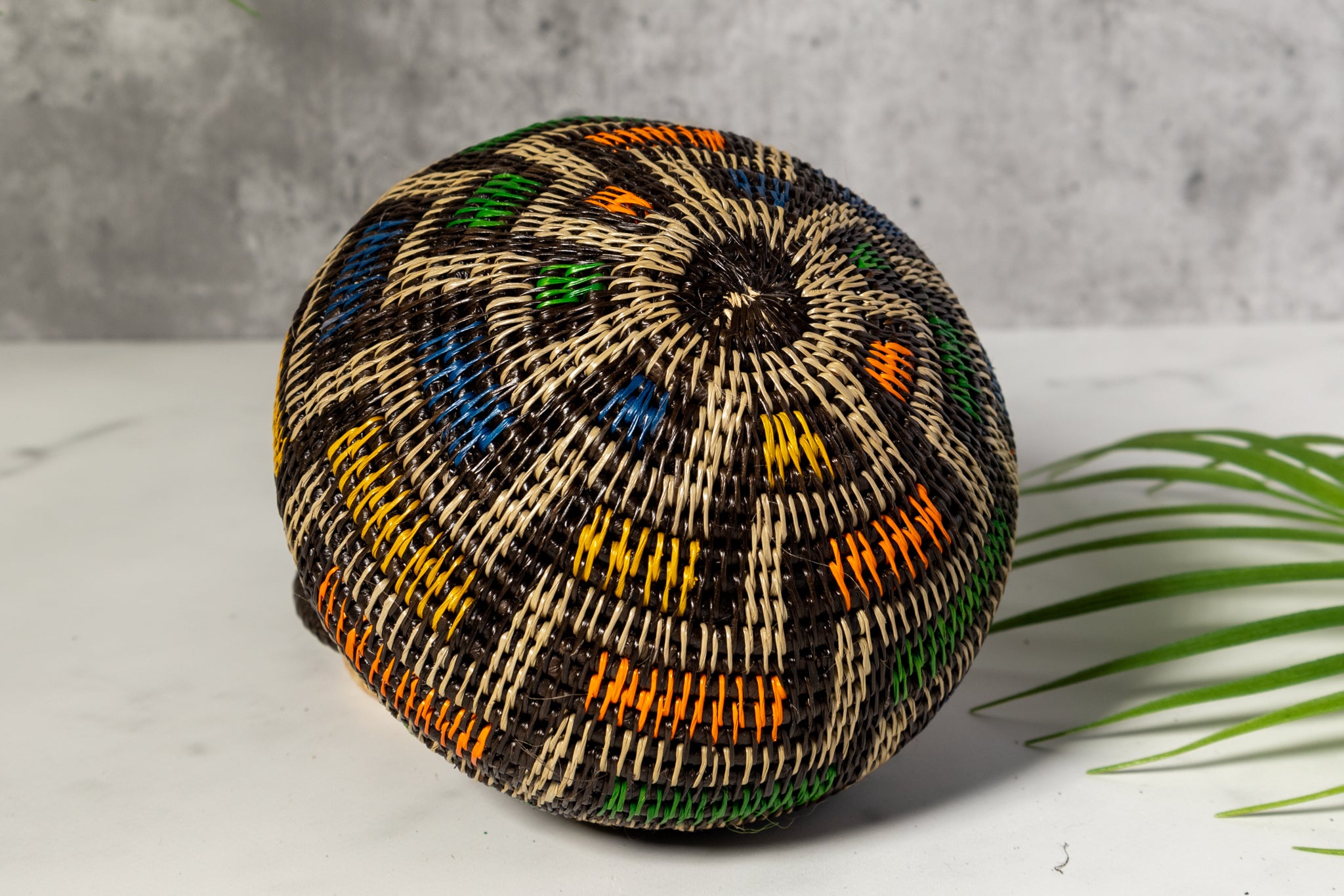 Multi-Color Jungle Notes Rainforest Basket With Top