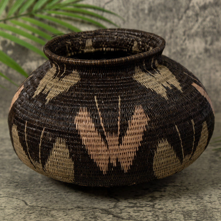 Black Brown And Gray Butterfly Rainforest Basket