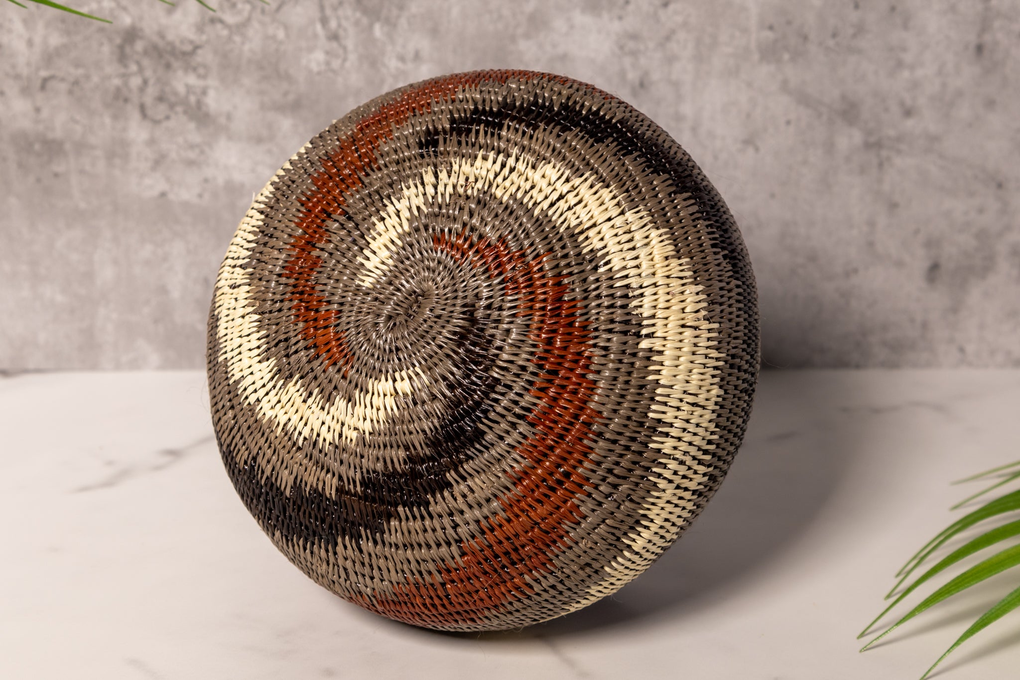 Spinning Tornado Rainforest Basket