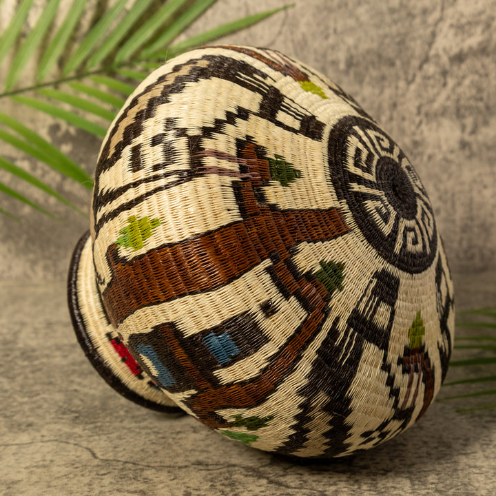 Harpy Eagle Rainforest Basket