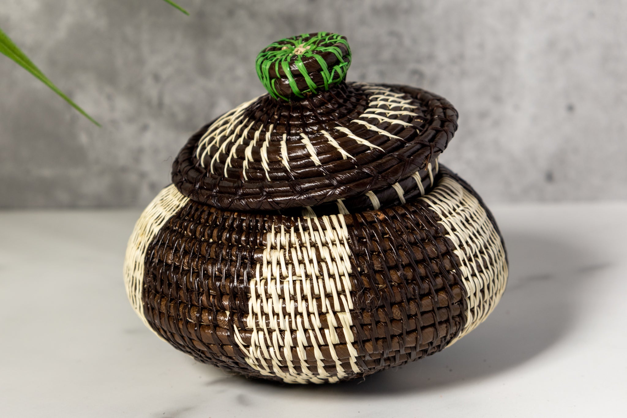 Black And White Rainforest Basket With Top
