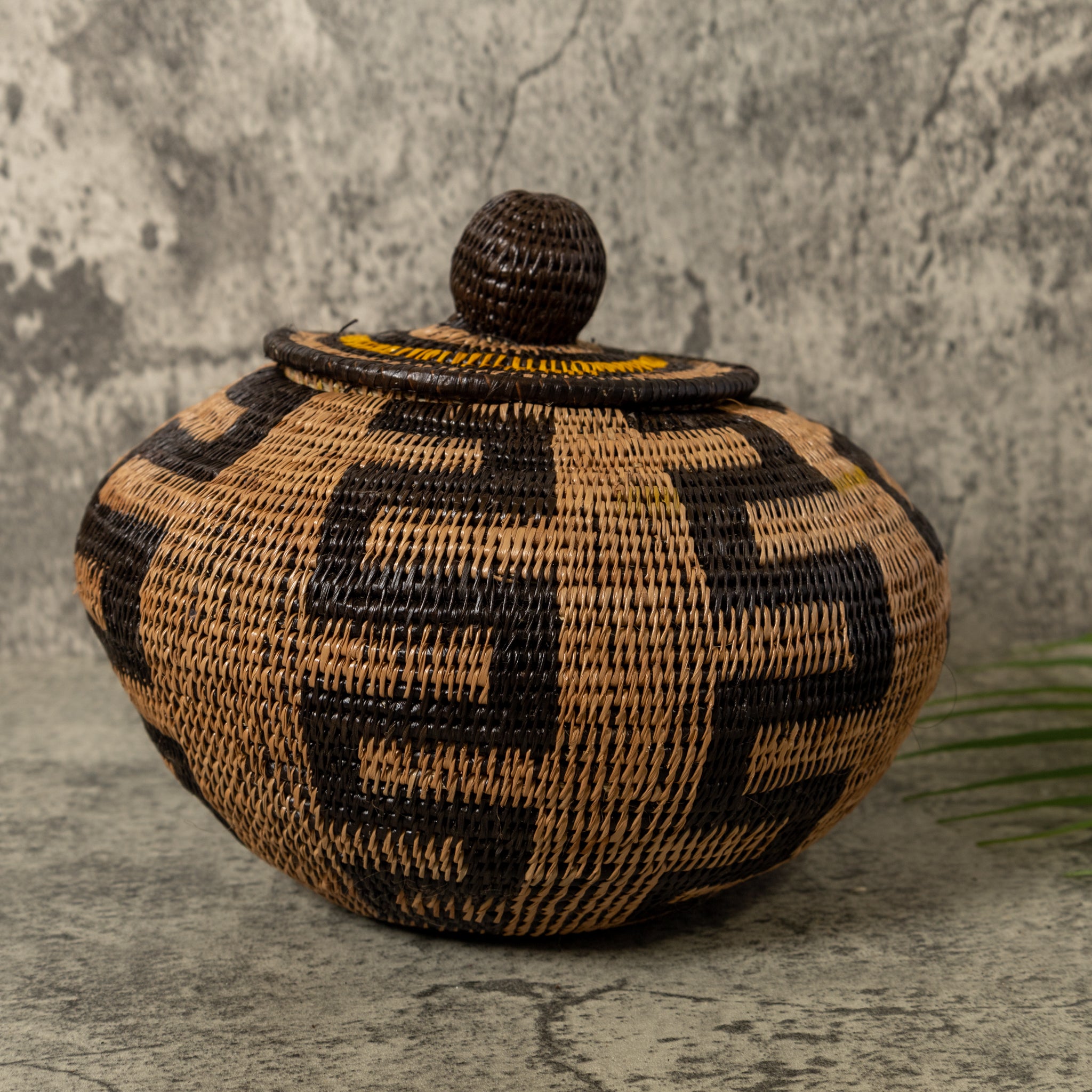 Black And Brown Snake Rainforest Basket With Top