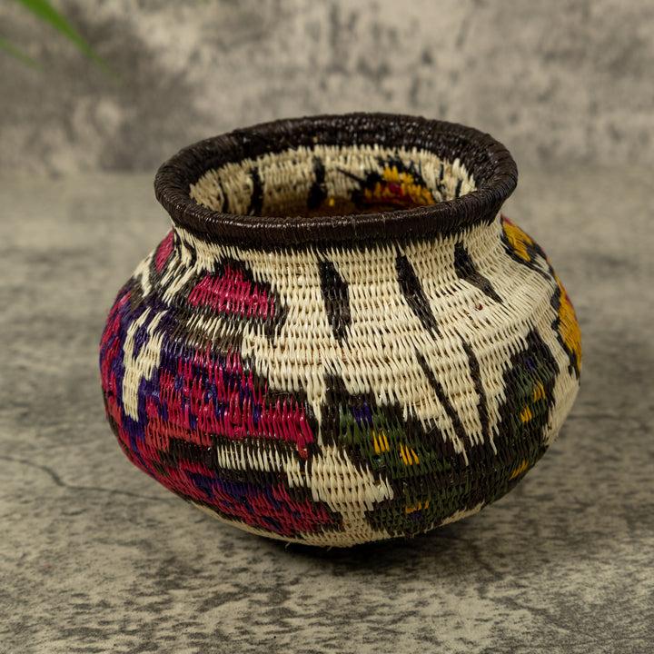 Multi-Color Butterfly Rainforest Basket