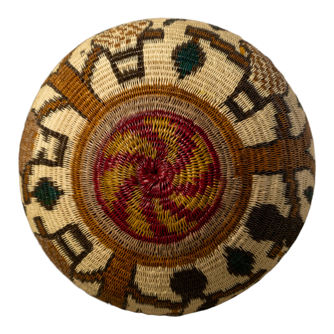 Owl Whimsy Rainforest Basket
