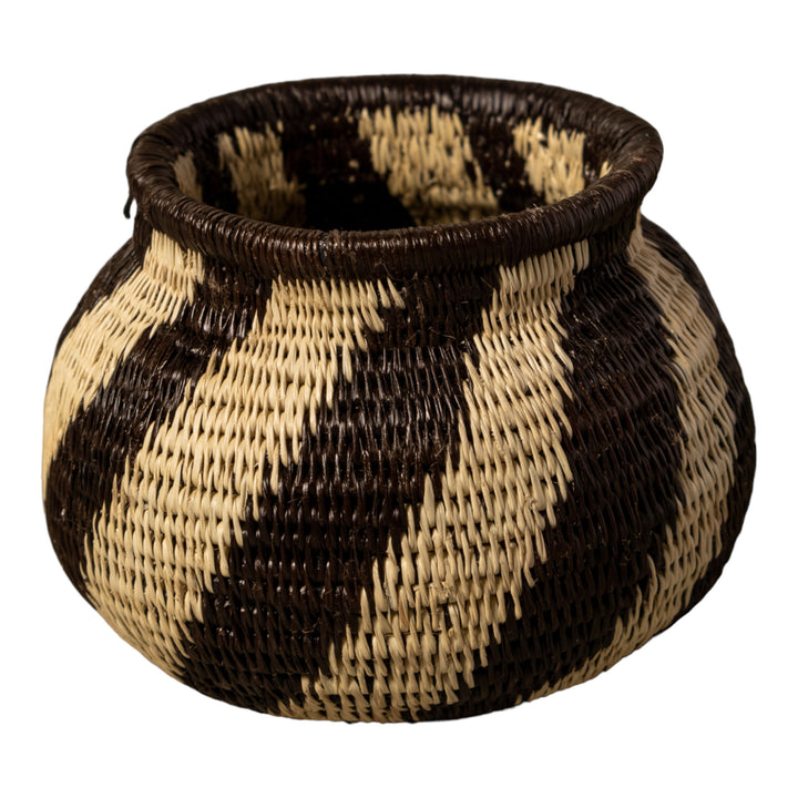 Spinner Swirl Rainforest Basket