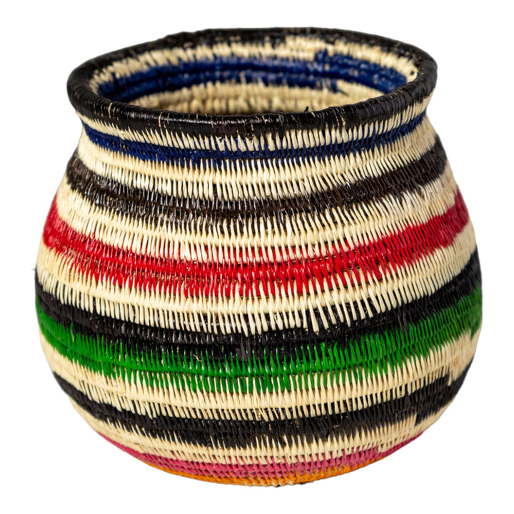 Rainbow Colors Rainforest Basket