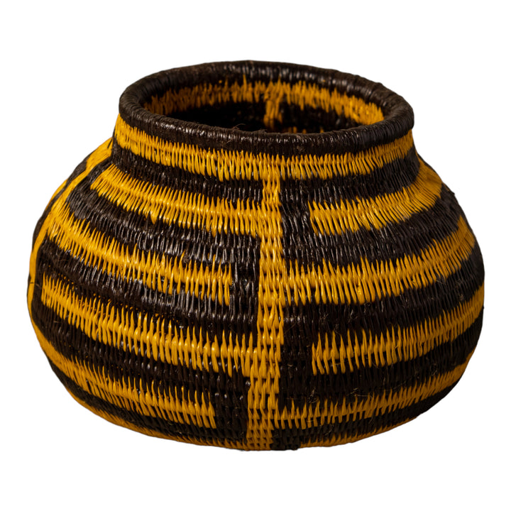 Snake Serenade Rainforest Basket