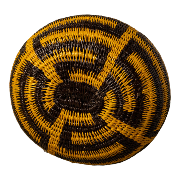 Snake Serenade Rainforest Basket