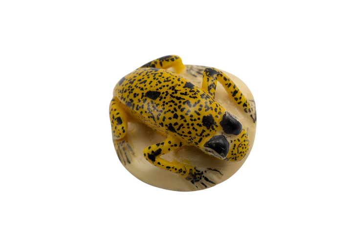 Hand Carved Tagua Nut Frog