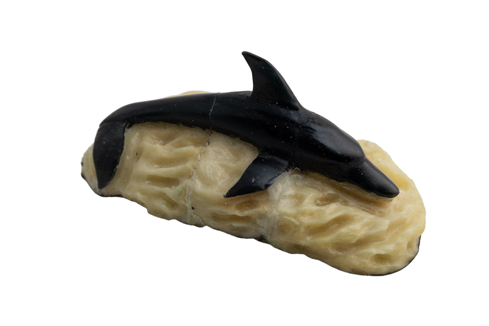 Wounaan Indian Dolphin Tagua Carving