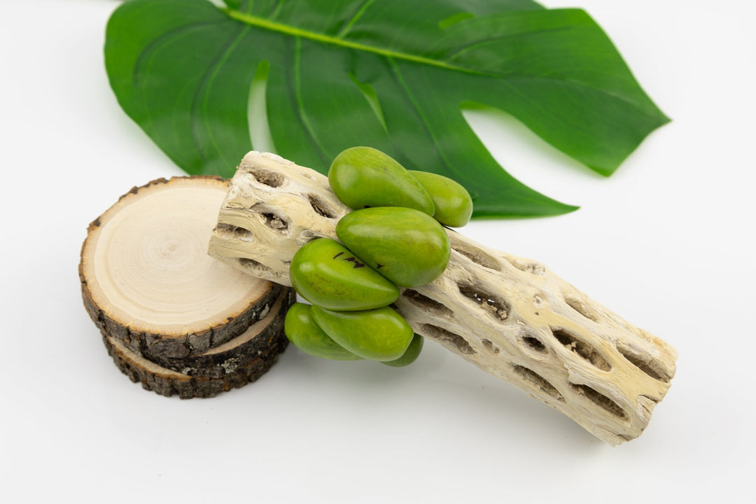 Classic Hand Made and Dyed Tagua Nut Bracelet Ecuador