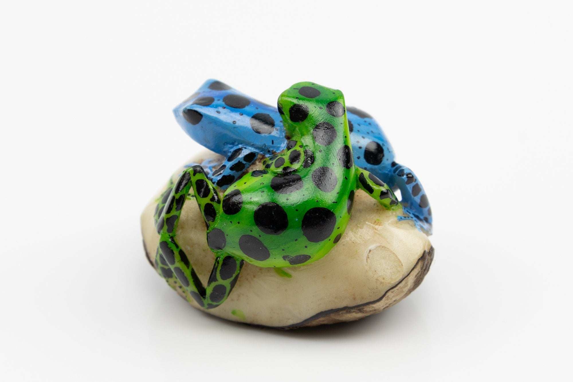 Hand Carved Poison Dart Frog Tagua Nut Made By Wounaan And Emberá Panama Indians. Animal Statue, Carving Miniature, Figurine, Decoration