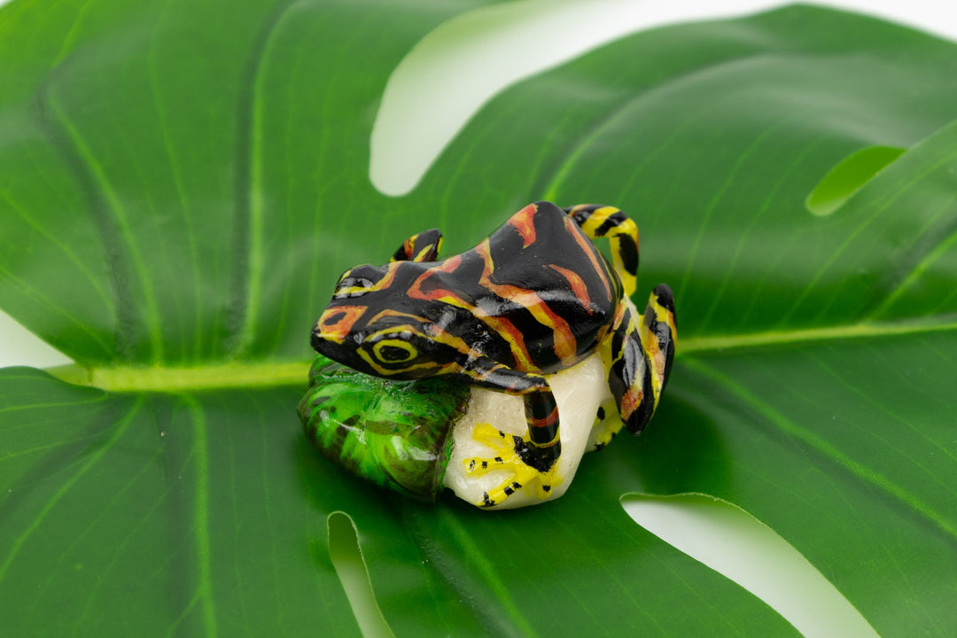 Hand Carved Poison Dart Frog Tagua Nut Made By Wounaan And Emberá Panama Indians. Animal Statue, Carving Miniature, Figurine, Decoration