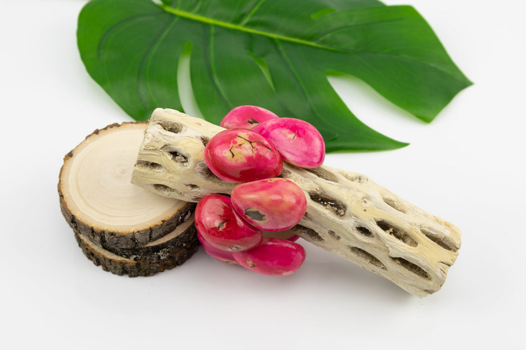 Classic Hand Made and Dyed Tagua Nut Bracelet Ecuador