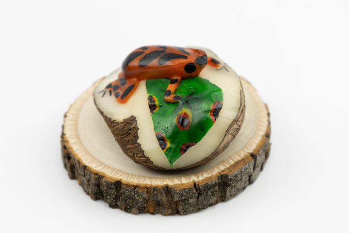 Hand Carved Poison Dart Frog Tagua Nut Made By Wounaan And Emberá Panama Indians. Animal Statue, Carving Miniature, Figurine, Decoration