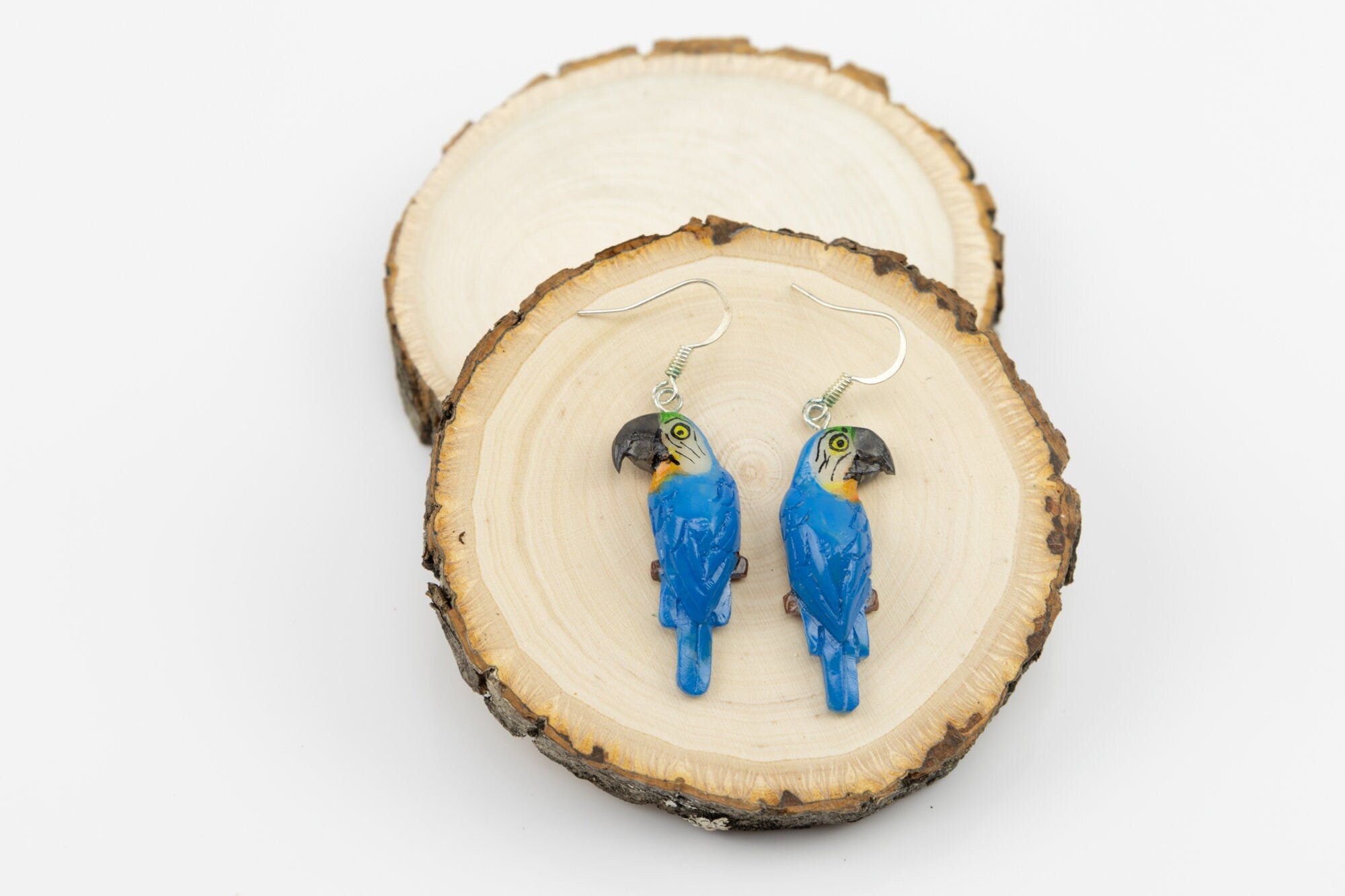 Hand Carved Macaw Parrot Earrings Panama