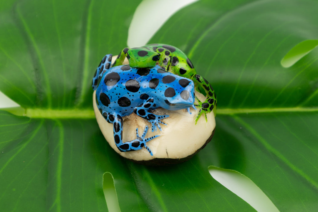 Hand Carved Poison Dart Frog Tagua Nut Made By Wounaan And Emberá Panama Indians. Animal Statue, Carving Miniature, Figurine, Decoration