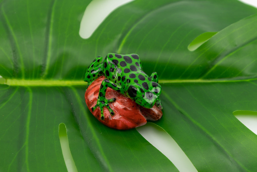 Hand Carved Poison Dart Frog Tagua Nut Made By Wounaan And Emberá Panama Indians. Animal Statue, Carving Miniature, Figurine, Decoration