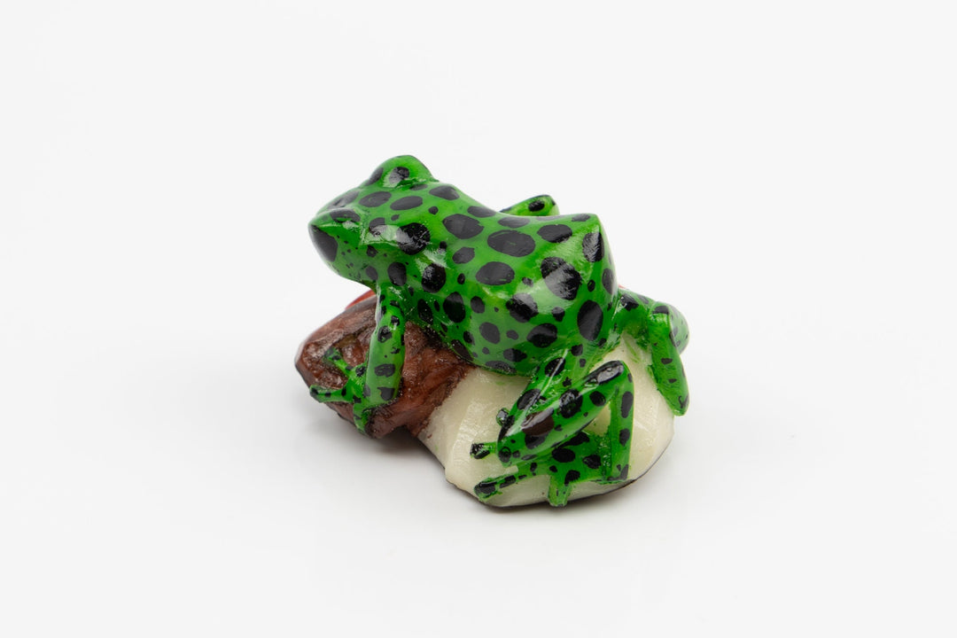 Hand Carved Poison Dart Frog Tagua Nut Made By Wounaan And Emberá Panama Indians. Animal Statue, Carving Miniature, Figurine, Decoration