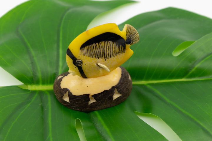 Hand Carved Tropical Fish Tagua Nut Made By Wounaan And Emberá Panama Indians. Animal Statue, Vegetable Ivory, Carving Miniature, Figurine